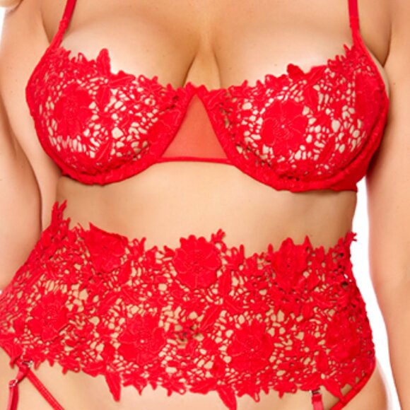 Plus Size Red Lace Bra and Waist Cincher Lingerie Set - Picture 3 of 6